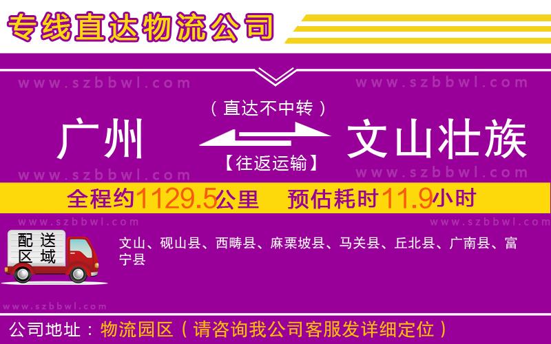 廣州到文山壯族苗族自治州物流公司