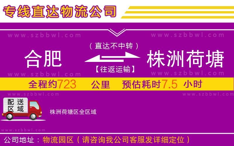 合肥到株洲荷塘區(qū)物流公司