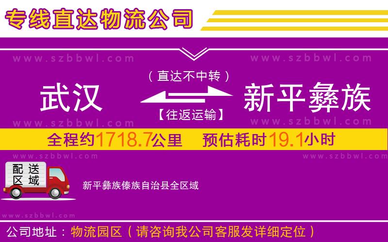 武漢到新平彝族傣族自治縣物流公司