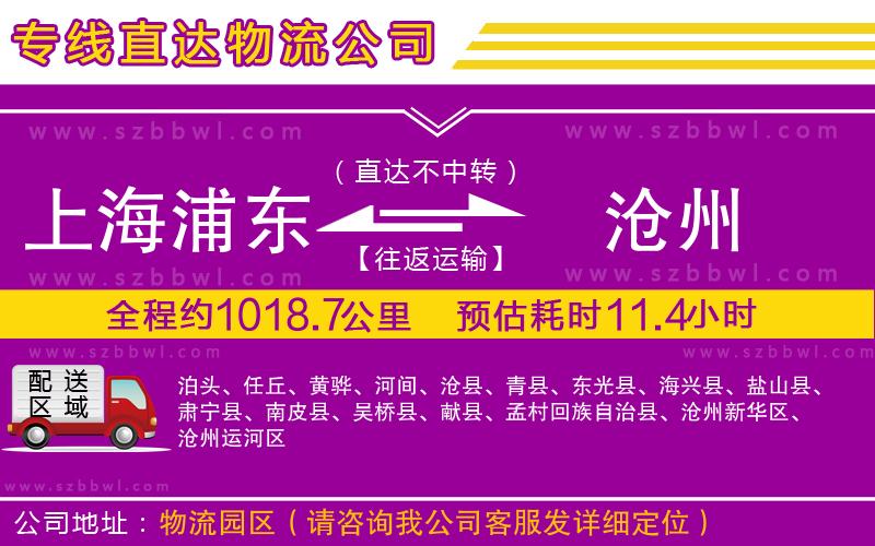 上海浦東區(qū)到滄州物流公司