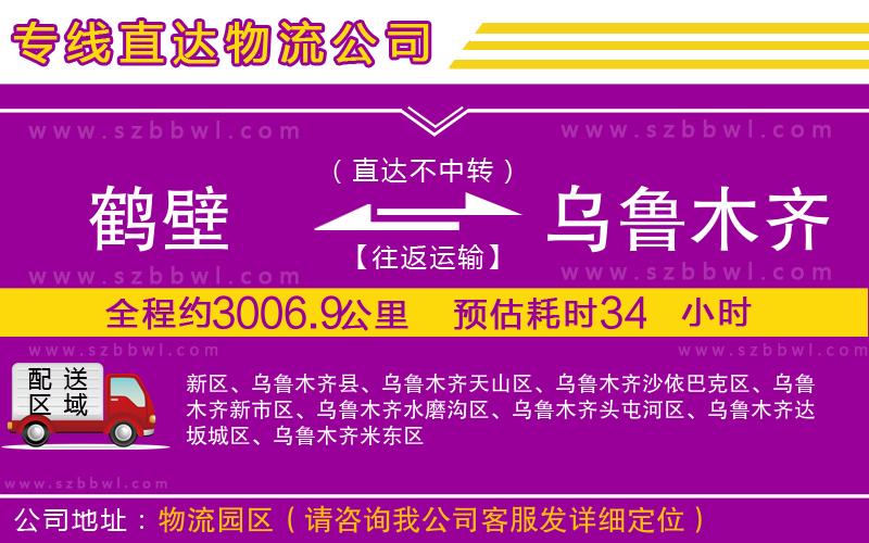 鶴壁到烏魯木齊物流公司