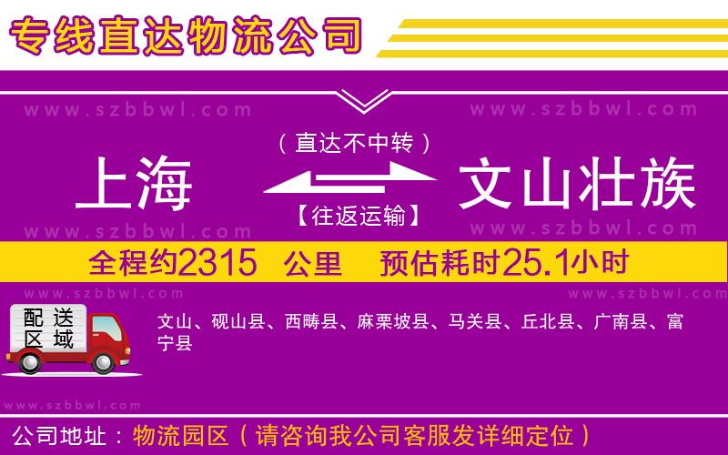 上海到文山壯族苗族自治州貨運(yùn)專線