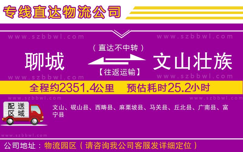 聊城到文山壯族苗族自治州貨運專線